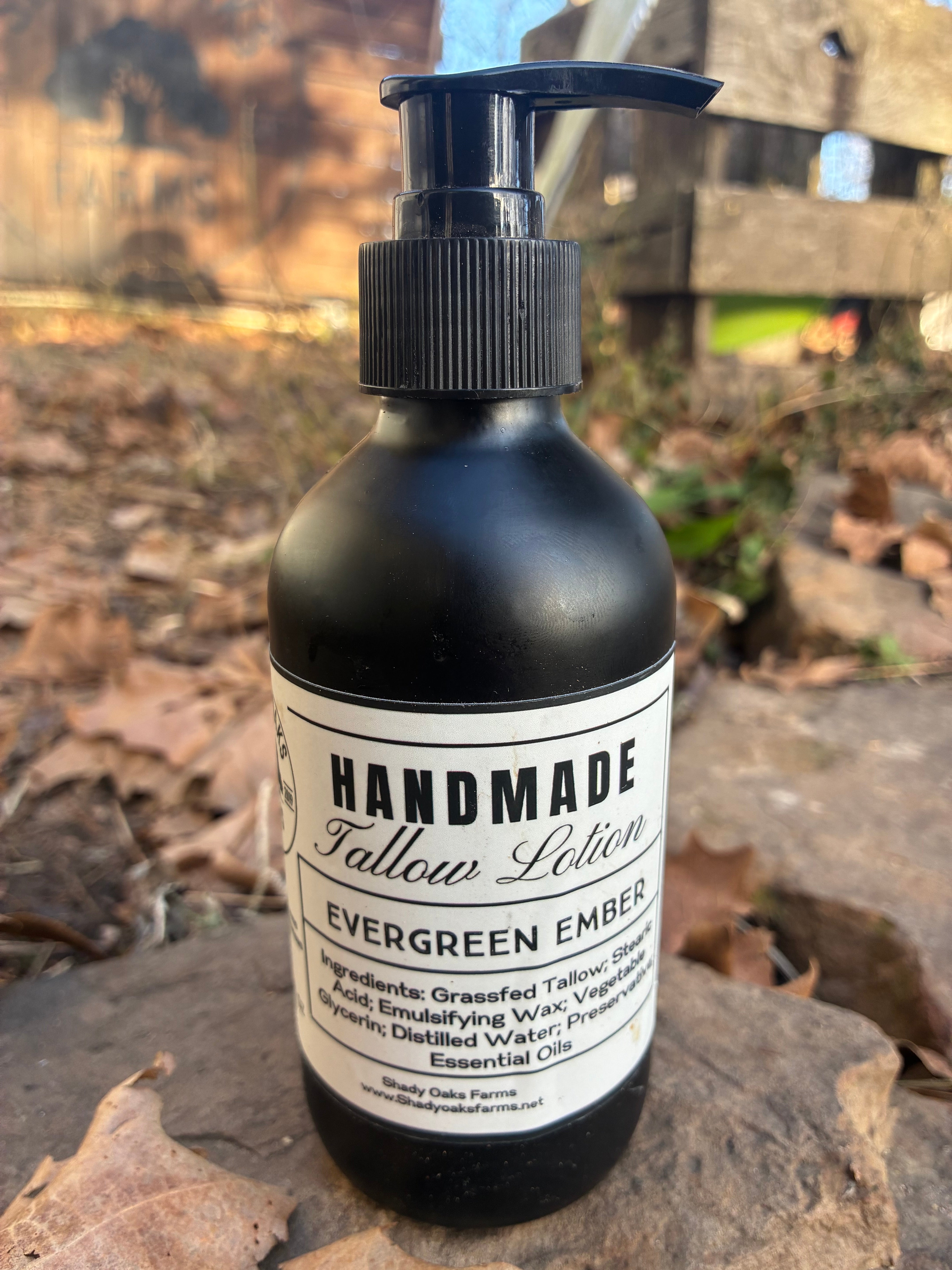 Tallow Lotion - Evergreen Ember – Shady Oaks Farms