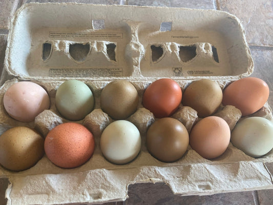 Pasture Raised Eggs