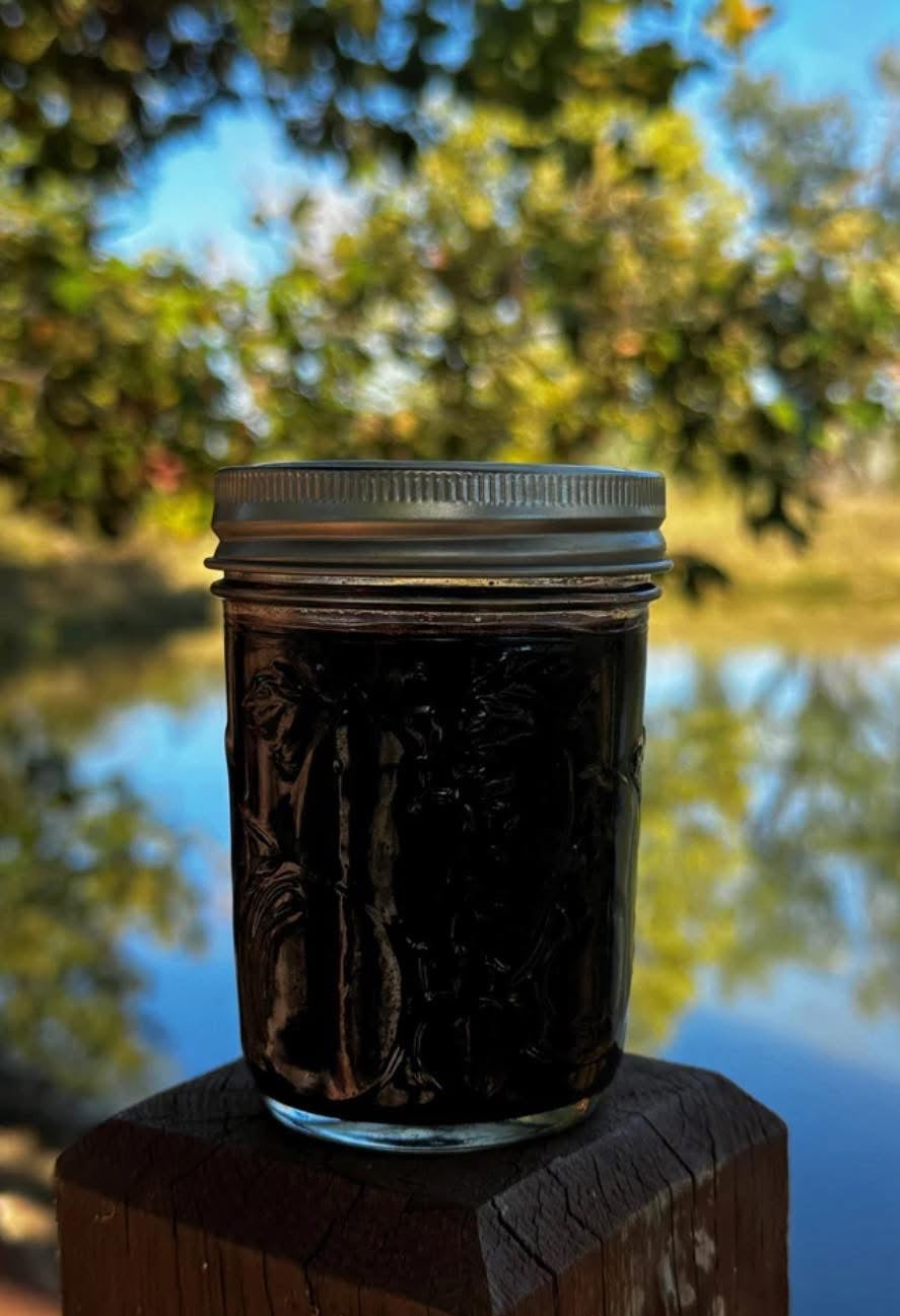 Elderberry Syrup